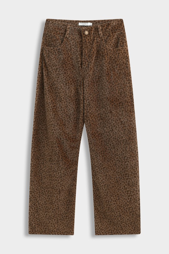 PP1014-BRUN