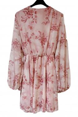 10783-CT-ROSE