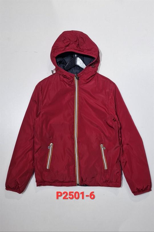 P2501-ROUGE